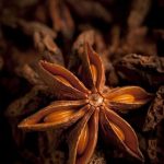 Star Anise 10g , ஸ்டார் அனிஸ் , BURIYANI MALL - Image 3