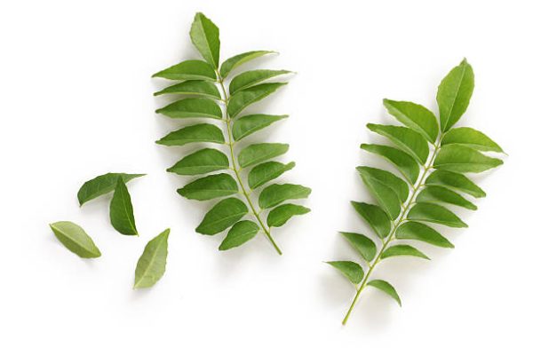 Dried Curry Leaves Powder 100g වියලූ කරපිංචා කුඩු Fresh Naturally Dried Curry Leaf