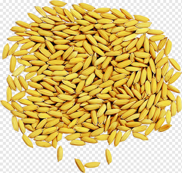 Paddy feed for pet of the birds நெல் ව්(null) - Image 4