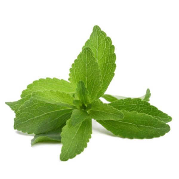 STIVEA LEAF CUT 100G / DRY STIVEA SUGUR FREE / HERBS/ TEA - Image 2