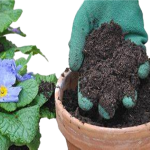 Potting Mixture 5Kg Soil Mix Organic Fertilizers - Image 2