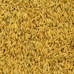 Paddy feed for pet of the birds நெல் ව්(null) - Image 2