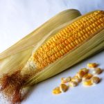 popcorn seeds for make popcorn 200g - Image 2
