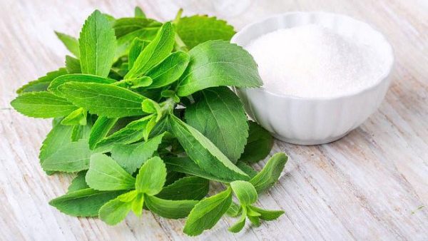 STIVEA LEAF CUT 100G / DRY STIVEA SUGUR FREE / HERBS/ TEA