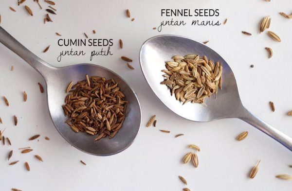 FENCHEL-ANIS Spices mix 100g FENCHEL-ANIS Spices mix 100g