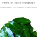 Yaki naran fresh leaves 20 for porridge - Image 3