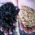 Carbonized Rice Husk, Burned Rice Husk As Fertilizer For Gardening 5kg - Image 2