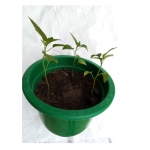 Plastic Flowerpots 5 pcs For Gardening and Flowering 30 cm Diameter 20 cm Height - Image 3