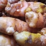 Fresh turmeric for tea, cooked foods and drinks - 500g - Image 4