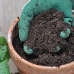 Potting mixture for gardening 4kg - Image 2