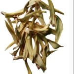Dehydrated Jack for curry 250g 100% natural. - Image 3