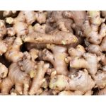 Fresh ginger For Mix with tea or mix with herbals as a medicated drink - 100g - Image 4