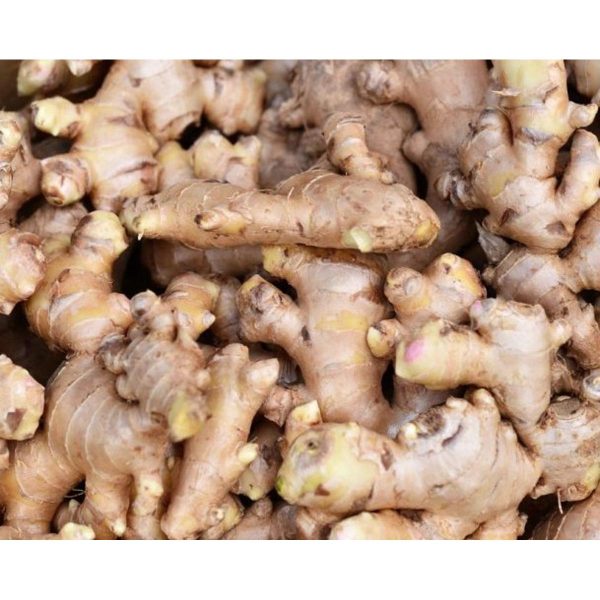 Fresh ginger For Mix with tea or mix with herbals as a medicated drink - 100g - Image 4