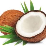 Coconut for Made Coconut Milk Medium and Large Size Fresh 8 Coconut - Image 2