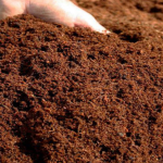 Coco Peat 3 Kg , Fertilizer , Agriculture - Image 2
