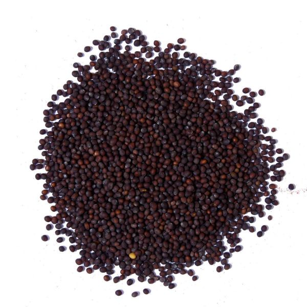Mustard Seeds අබ ඇට கடுகு 100g Mustard Seeds අබ ඇට கடுகு 100g