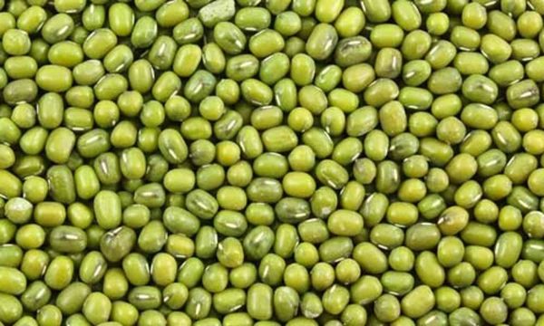 Green Gram. 250g මුංඇට பாசிப்பயறு