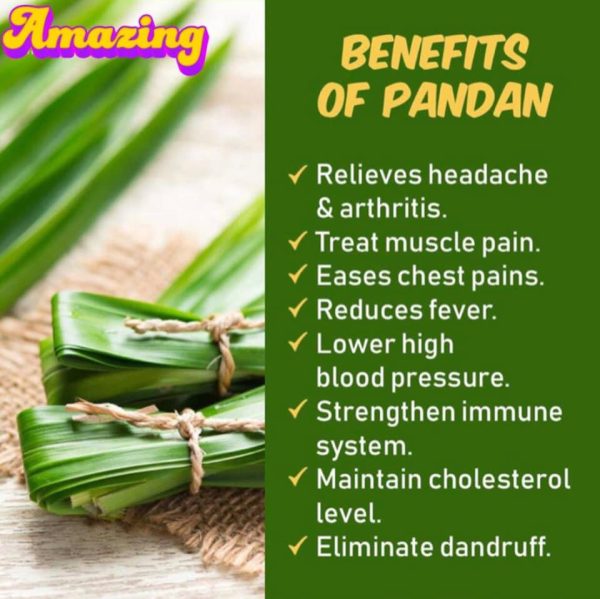 Pandan Leaves Powder 100g