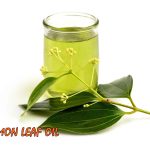 Cinnamon leaf oil Spray Bottle 50ml , කුරුඳු තෙල් Spices - Image 5