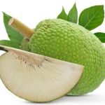 Bread Fruit 100g dehydrated for curry or fry 5 potions.. - Image 4