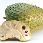 katu anoda 10 seeds for plantation - Image 2