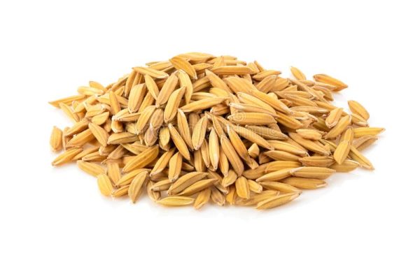 Paddy feed for pet of the birds நெல் ව්(null)