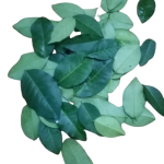 Yaki naran fresh leaves 20 for porridge - Image 5