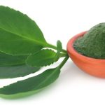 Black tea Akkapana 20 Tea Bags (Kalanchoe Pinnata / අක්කපාන / Black Tea With Akkapana Black tea Akkapana 20 Tea Bags (Kalanchoe Pinnata / අක්කපාන / Black Tea With Akkapana - Image 4
