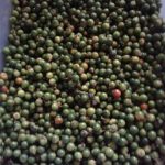 Natural Quality Products Black Pepper seeds 100g - Image 5