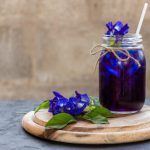Blue Butterfly Pea 20 Seeds නිල්කටරොළු 20 Seeds of Clitoria Ternatea  for Natural Organic Farming Vegetable, Fruit & flower Seed Blue Butterfly Pea 20 Seeds නිල්කටරොළු 20 Seeds of Clitoria Ternatea for Natural Organic Farming Vegetable, Fruit & flower Seed - Image 4