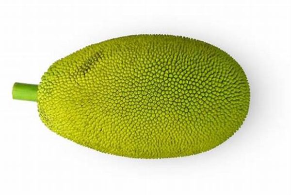 jack fruit 1 pieces polos - Image 4