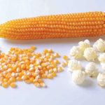 popcorn seeds for make popcorn 200g - Image 4